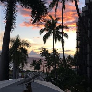 Meet your Posher, Sophia